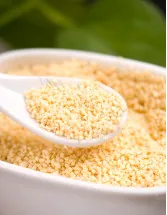 Lecithin Market Analysis Europe, North America, APAC, South America, Middle East and Africa - US, Germany, UK, India, China - Size and Forecast 2024-2028