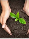 Soil Treatment Market Analysis North America, Europe, APAC, South America, Middle East and Africa - US, China, Spain, Germany, Japan - Size and Forecast 2024-2028