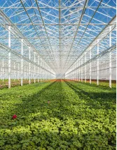 Commercial Greenhouse Market Analysis North America, Europe, APAC, South America, Middle East and Africa - US, The Netherlands, China, Germany, Spain - Size and Forecast 2024-2028