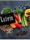 Lutein Market Analysis Europe, North America, APAC, South America, Middle East and Africa - Germany, US, China, France, UK - Size and Forecast 2024-2028