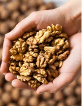 Walnut Market Analysis APAC, Europe, North America, Middle East and Africa, South America - China, US, Germany, India, Spain - Size and Forecast 2024-2028