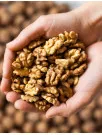 Walnut Market Analysis APAC, Europe, North America, Middle East and Africa, South America - China, US, Germany, India, Spain - Size and Forecast 2024-2028