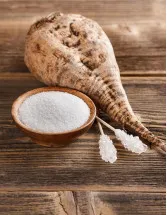 Sugar Beet Market Analysis North America, Europe, APAC, South America, Middle East and Africa - US, Russia, France, Germany, China - Size and Forecast 2024-2028