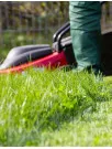 Landscaping Services Market Analysis US - Size and Forecast 2024-2028