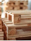 Pallet Market Analysis Canada - Size and Forecast 2024-2028