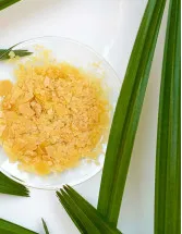 Carnauba Wax Market Analysis APAC, North America, Europe, South America, Middle East and Africa - US, China, Germany, Japan, Canada - Size and Forecast 2024-2028