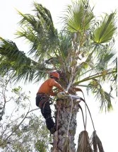 Tree Trimmer Market Analysis North America, Europe, APAC, South America, Middle East and Africa - US, Germany, China, UK, Canada - Size and Forecast 2024-2028