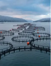 Aquaculture Market Analysis China - Size and Forecast 2024-2028