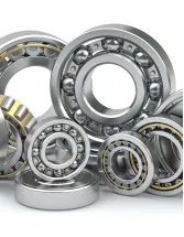 India Bearings Market Analysis - Size and Forecast 2025-2029