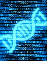 Genomics Market Analysis US - Size and Forecast 2024-2028