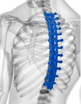 Spinal Fusion Devices Market Analysis North America, Europe, Asia, Rest of World (ROW) - US, Germany, Italy, China, Japan - Size and Forecast 2024-2028