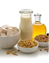 Soy And Milk Protein Ingredients Market Analysis North America, Europe, APAC, South America, Middle East and Africa - US, China, Germany, UK, France - Size and Forecast 2024-2028