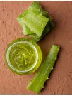 Aloe Vera Extracts Market Analysis APAC, North America, Europe, South America, Middle East and Africa - US, Canada, China, India, Germany - Size and Forecast 2024-2028