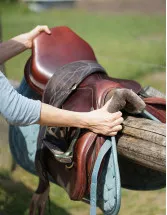 Harness Saddlery Equipment Market Analysis North America, Europe, APAC, South America, Middle East and Africa - US, Australia, UK, France, Germany - Size and Forecast 2024-2028