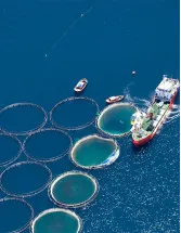 Fishing Aquaculture Nets Market Analysis APAC, North America, Europe, South America, Middle East and Africa - US, China, Thailand, India, Vietnam - Size and Forecast 2024-2028