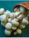 Singapore Fresh Mushroom Market Analysis - Size and Forecast 2025-2029