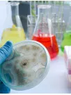 Biocides Market Analysis North America,APAC,Europe,South America,Middle East and Africa - US,China,Japan,Germany,France - Size and Forecast 2024-2028