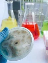 Biocides Market Analysis North America,APAC,Europe,South America,Middle East and Africa - US,China,Japan,Germany,France - Size and Forecast 2024-2028