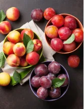 Stone Fruit Market Analysis APAC, Europe, North America, Middle East and Africa, South America - US, China, India, Spain, Italy - Size and Forecast 2024-2028