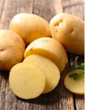 Potato Market Analysis APAC, Europe, North America, Middle East and Africa, South America - China, India, US, Russia, Germany, France, UK, Indonesia, Japan, South Korea - Size and Forecast 2025-2029