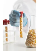 Hydrolyzed Corn Protein Market Analysis Europe, North America, APAC, South America, Middle East and Africa - US, Canada, China, UK, Italy - Size and Forecast 2024-2028