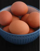 Fortified Eggs Market Analysis North America, Europe, APAC, South America, Middle East and Africa - US, Canada, China, India, Germany - Size and Forecast 2024-2028