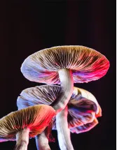 US Psychedelic Mushroom Products Market by Product, Type and Application - Forecast and Analysis 2024-2028