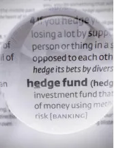 US Hedge Fund Market Analysis - Size and Forecast 2025-2029