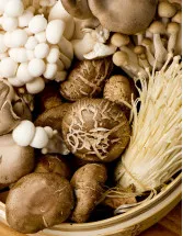 Functional Mushroom Market Analysis North America, Europe, APAC, South America, Middle East and Africa - US, Canada, China, UK, Germany - Size and Forecast 2024-2028