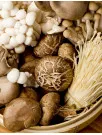 Functional Mushroom Market Analysis North America, Europe, APAC, South America, Middle East and Africa - US, Canada, UK, Germany, China, France, Italy, Japan, India, South Korea - Size and Forecast 2025-2029