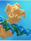 RNA Based Therapeutics Market Analysis Europe, North America, Asia, Rest of World (ROW) - US, China, Germany, UK, Japan - Size and Forecast 2024-2028