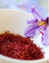 Saffron Extract Market Analysis APAC, Middle East and Africa, Europe, North America, South America - India, Iran, Spain, France, Italy - Size and Forecast 2024-2028