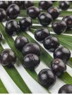 Australia Acai Berry Products Market Analysis - Size and Forecast 2024-2028