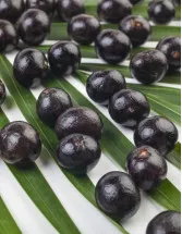 Australia Acai Berry Products Market Analysis - Size and Forecast 2024-2028