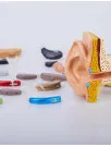 Hearing Devices Market Analysis Europe, North America, Asia, Rest of World (ROW) - US, Germany, France, UK, China, Italy, Spain, Japan, Canada, India - Size and Forecast 2024-2028