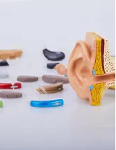 Hearing Devices Market Analysis Europe, North America, Asia, Rest of World (ROW) - US, Germany, France, UK, China, Italy, Spain, Japan, Canada, India - Size and Forecast 2024-2028