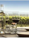 Wine Tourism Market Analysis Europe, North America, APAC, South America, Middle East and Africa - France, Argentina, Australia, Chile, Italy, China, US, New Zealand, South Africa, Spain - Size and Forecast 2025-2029