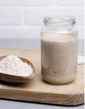 Organic Yeast Market Analysis Europe, APAC, North America, South America, Middle East and Africa - US, China, Germany, Japan, UK, France, India, Italy, Canada, Brazil - Size and Forecast 2025-2029