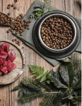 Plant Based Pet Food Market Analysis North America, Europe, APAC, South America, Middle East and Africa - US, UK, Germany, Canada, Australia, France, Sweden, The Netherlands, Italy, Spain - Size and Forecast 2025-2029