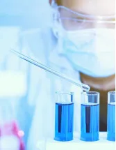 Chemical Licensing Market Analysis APAC, North America, Europe, Middle East and Africa, South America - US, China, Germany, Japan, South Korea, France, UK, India, Canada, Saudi Arabia - Size and Forecast 2025-2029