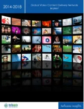 Global Video CDN Market 2014-2018