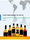 USA Alcoholic Beverages Craft Beer Market 2015-2019