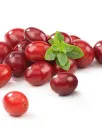 Fresh Cranberries Market Analysis North America, Europe, APAC, South America, Middle East and Africa - US, Germany, China, UK, Canada - Size and Forecast 2024-2028