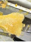 Beeswax Market by Product and Geography - Forecast and Analysis 2020-2024