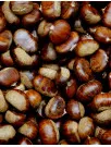 Chestnuts Market by Type and Geography - Forecast and Analysis 2020-2024