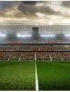 Smart Stadium Market Analysis Europe, North America, APAC, South America, Middle East and Africa - US, UK, Germany, Canada, France, Italy, China, Japan, The Netherlands, Spain - Size and Forecast 2025-2029