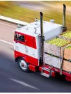 Food Logistics Market by Transportation Mode and Geography - Forecast and Analysis 2020-2024