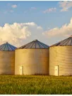 Grain Silos And Ancillary Equipment Market Analysis North America, Europe, APAC, South America, Middle East and Africa - US, Canada, Germany, UK, China, France, Italy, Japan, India, South Korea - Size and Forecast 2025-2029