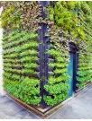 Vertical Garden Construction Market Analysis APAC, Europe, North America, South America, Middle East and Africa - US, Japan, South Korea, Malaysia, United Arab Emirates - Size and Forecast 2024-2028