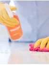 Surface Disinfectants Market Analysis North America, Europe, APAC, Middle East and Africa, South America - US, Canada, Germany, China, UK, Japan, France, India, Italy, South Korea - Size and Forecast 2025-2029